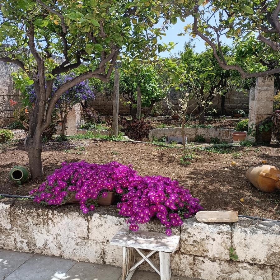 Masseria Ricci Fasano Exterior photo